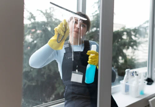 Nettoyage de vitres intérieures et extérieures à Buxerolles